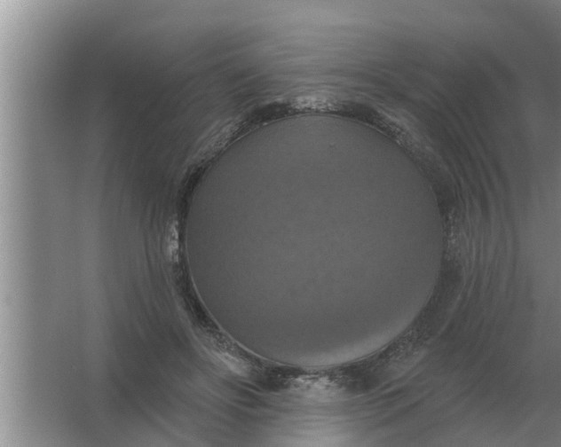 X0000063510502200602032047