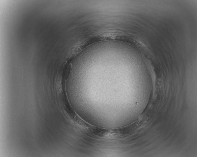 X0000063510504200602032047