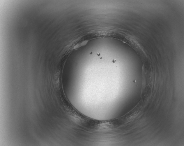 X0000063510505200602032047