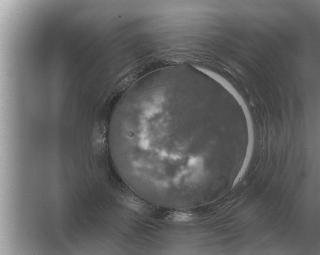 X0000063510507200602032047