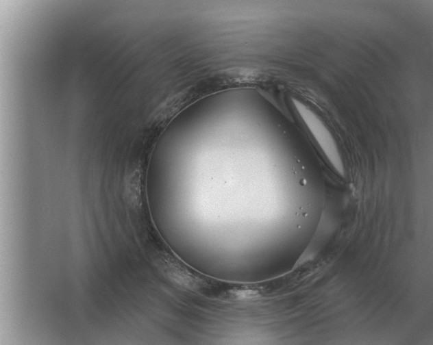 X0000063510509200602032047