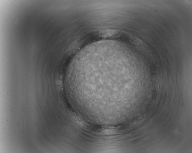 X0000063510510200602032047