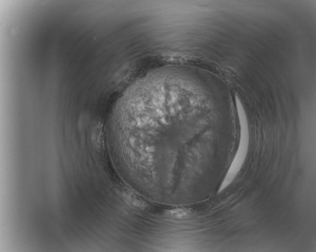 X0000063510511200602032047