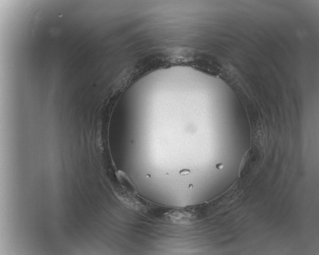 X0000063510512200602032047