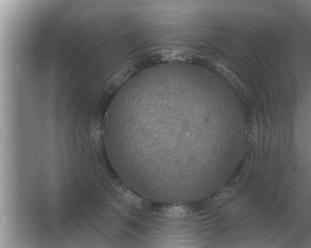 X0000063510513200602032047