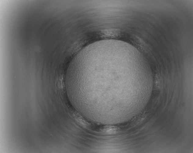 X0000063510514200602032047