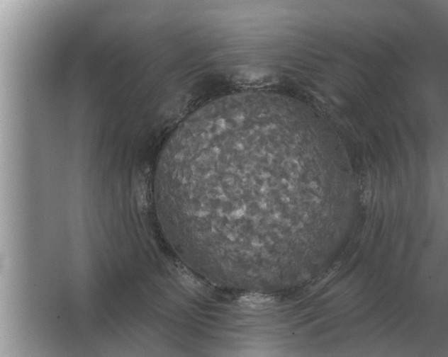 X0000063510515200602032047