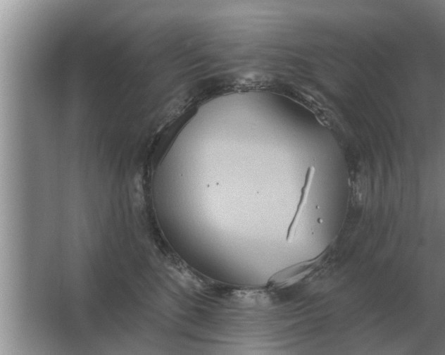 X0000063510520200602032047