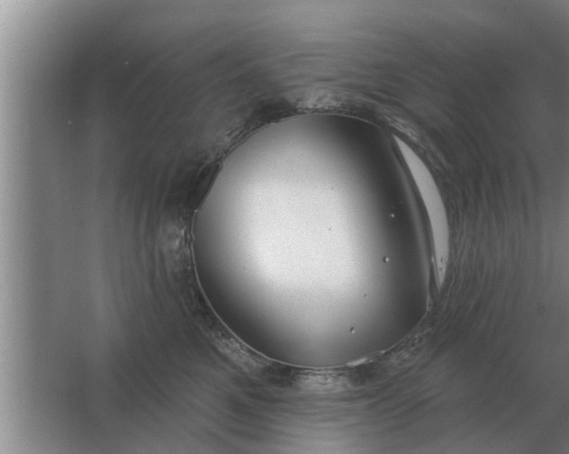 X0000063510521200602032047