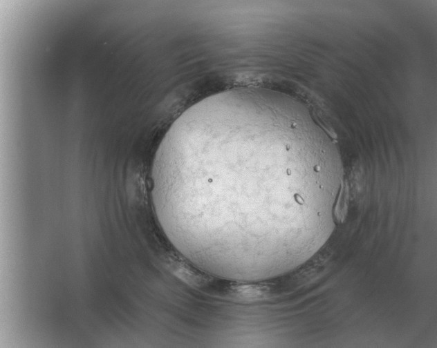 X0000063510522200602032047