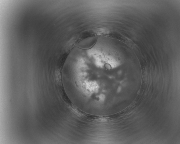 X0000063510523200602032046