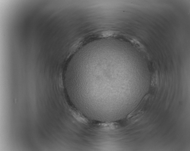 X0000063510524200602032046