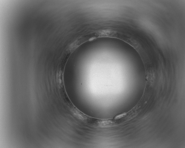 X0000063510525200602032046