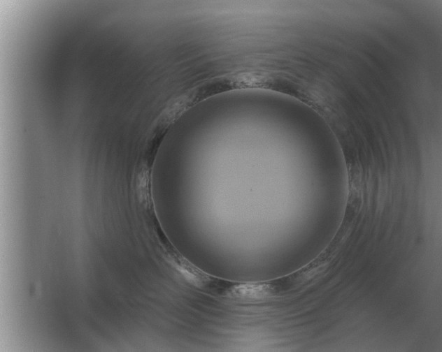 X0000063510526200602032046