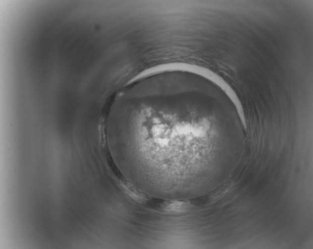 X0000063510527200602032046