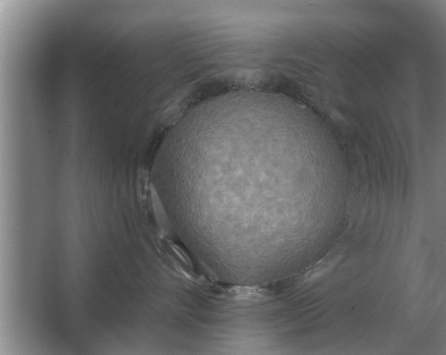 X0000063510528200602032046