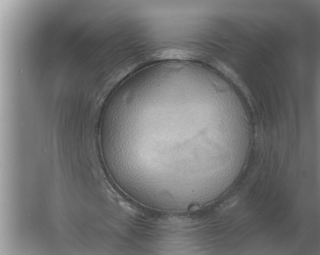 X0000063510529200602032046