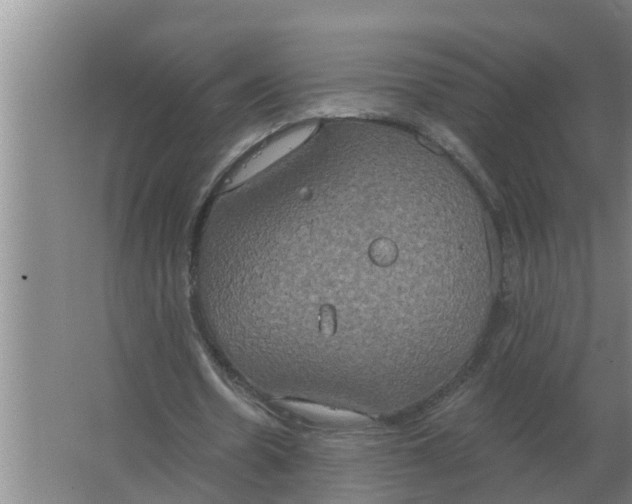 X0000063510530200602032046