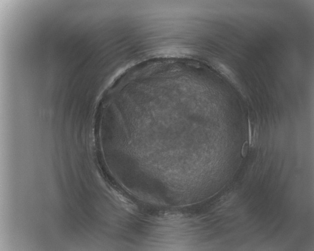 X0000063510531200602032046