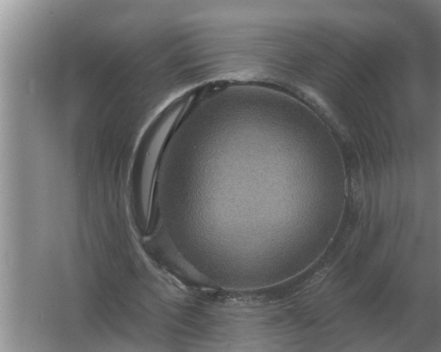 X0000063510532200602032046