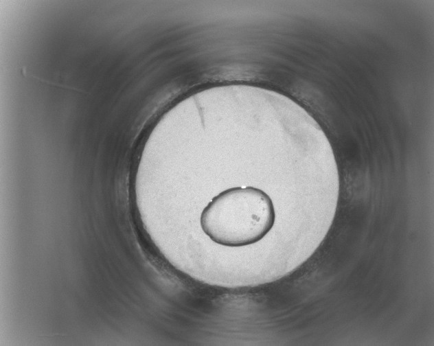 X0000063510534200602032046