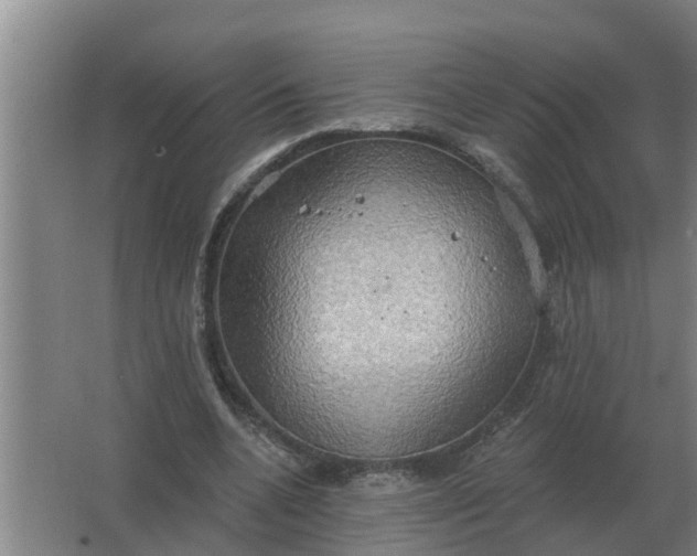 X0000063510536200602032046