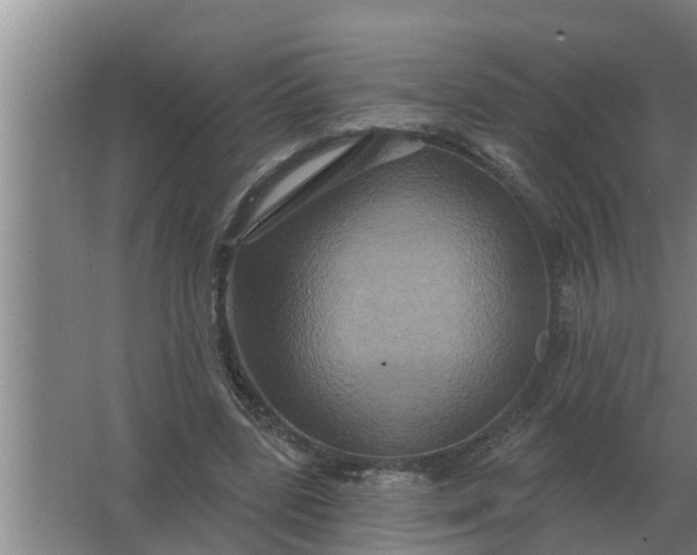 X0000063510539200602032046