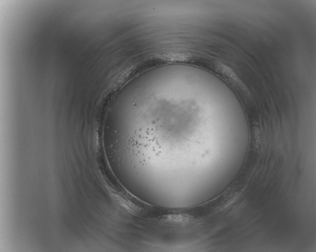 X0000063510541200602032046