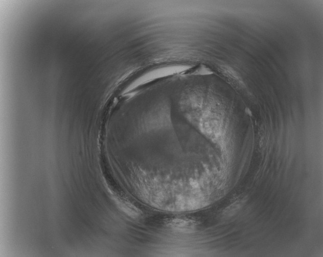 X0000063510542200602032046