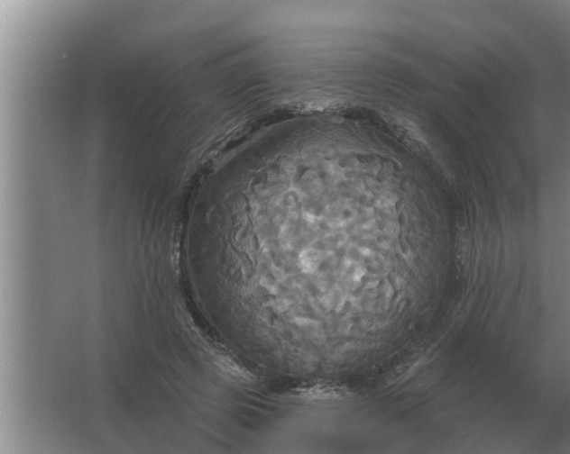 X0000063510545200602032046