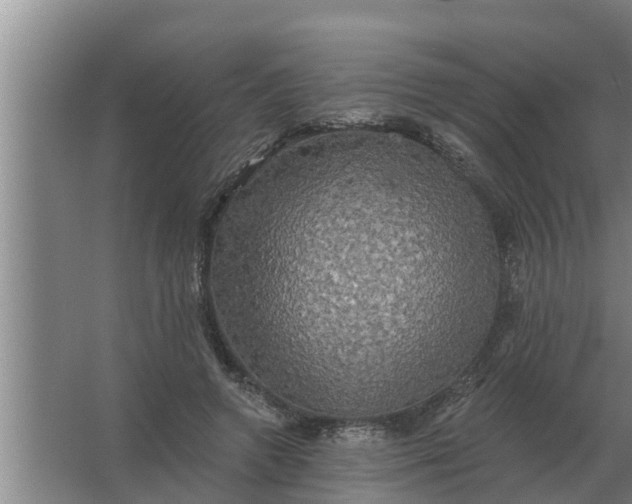 X0000063510546200602032046