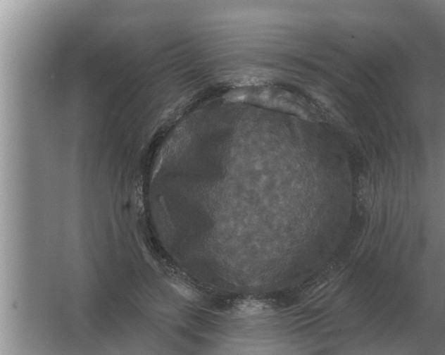 X0000063510547200602032046