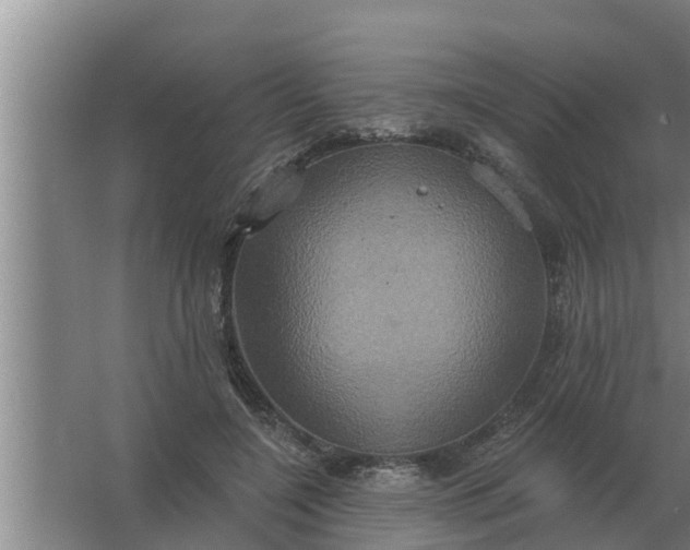 X0000063510548200602032046