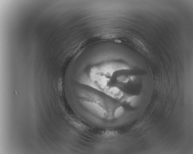 X0000063510549200602032046