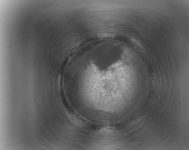 X0000063510550200602032046