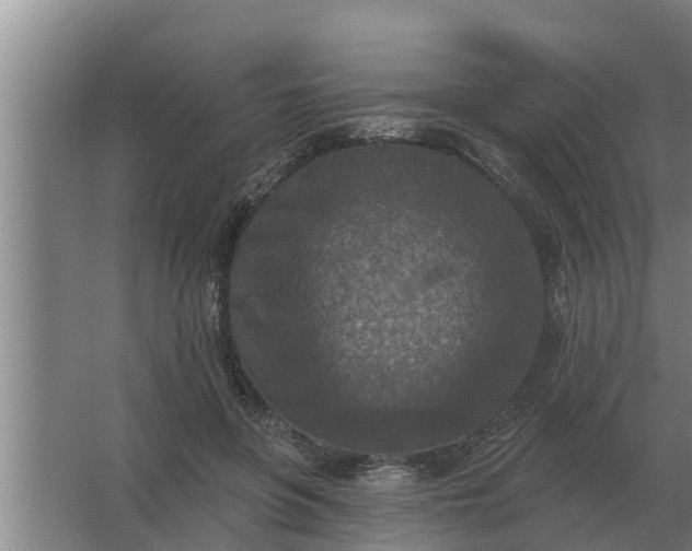 X0000063510551200602032046