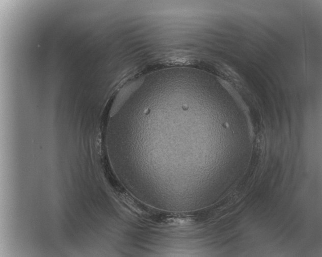 X0000063510552200602032046