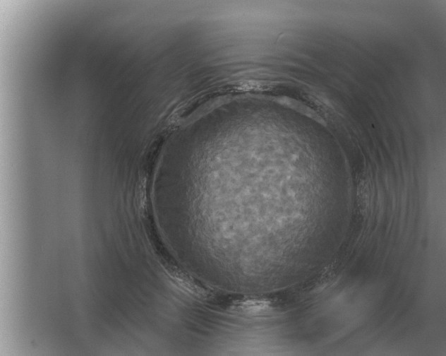 X0000063510554200602032046