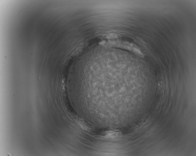 X0000063510555200602032046