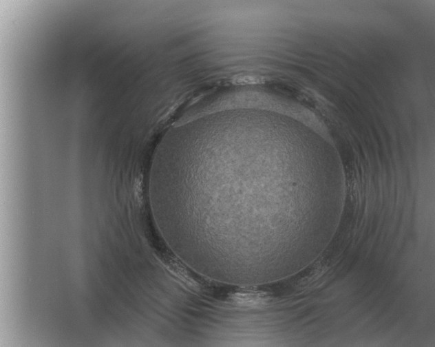 X0000063510556200602032046