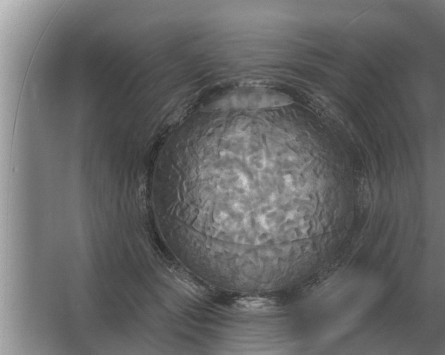 X0000063510557200602032046