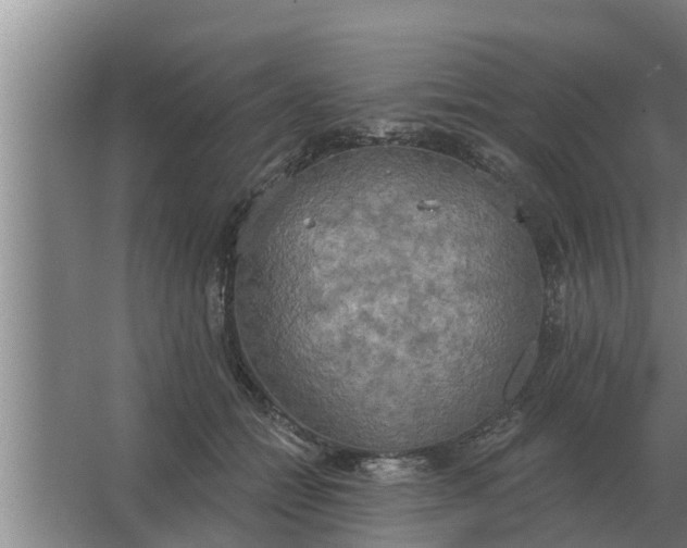 X0000063510558200602032046