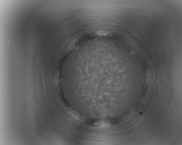 X0000063510559200602032046