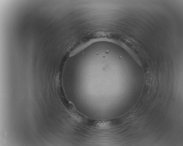 X0000063510560200602032046