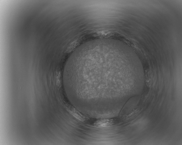 X0000063510563200602032046