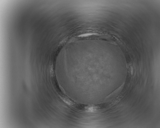 X0000063510564200602032046