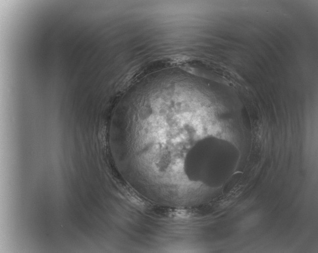 X0000063510565200602032046