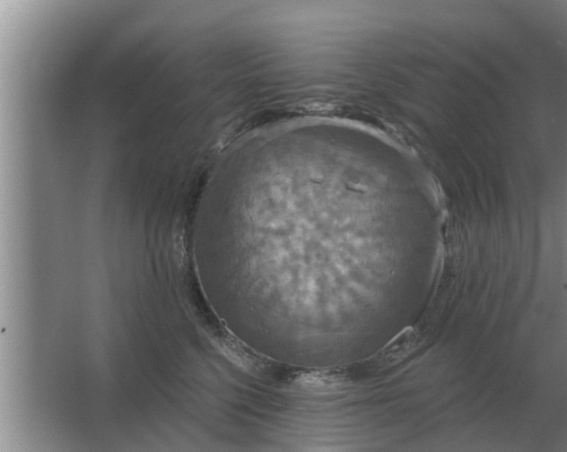 X0000063510568200602032046