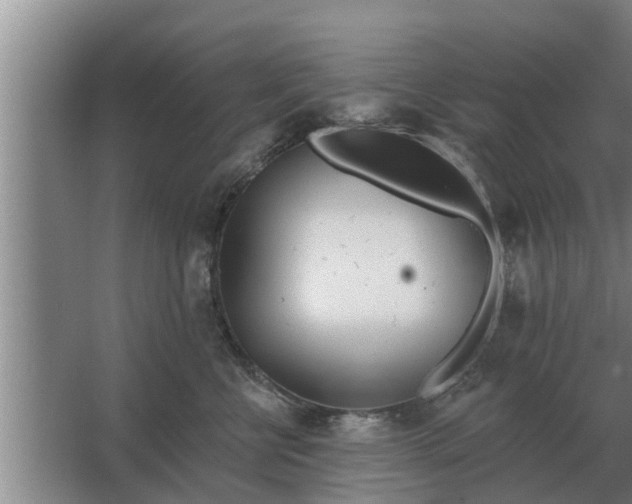 X0000063510570200602032046