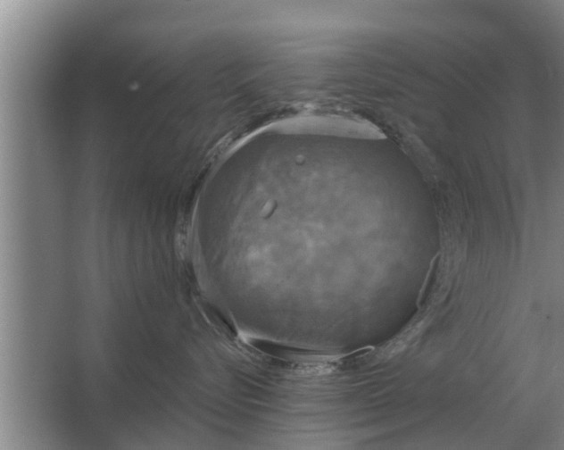 X0000063510576200602032046